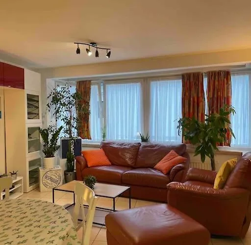 90m2 Op 70m Van Het Strand. Apartamento Ostend